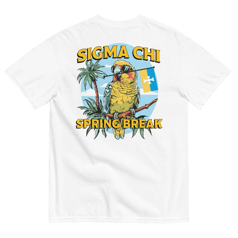 Men's moisture - wicking athletic t - shirts for intense workoutsSigma Chi Spring Break T-Shirt by Comfort Colors (2024)